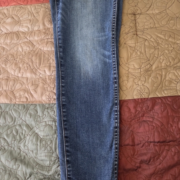 Kirkland Signature SKINNY SZ 12  Blue Denim Pants LIKE NEW - Picture 2 of 4